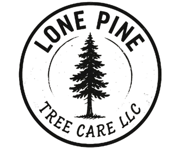 Circular logo for Lone Pine Tree Care LLC featuring a black silhouette of a pine tree in the center on a white background.