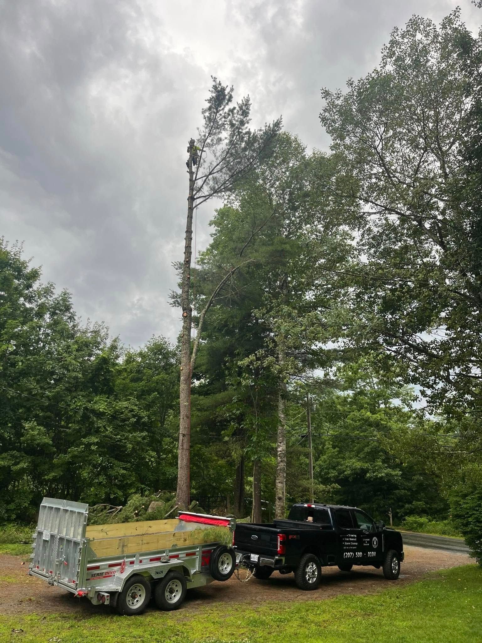 A black pickup truck with an empty flatbed trailer parked on a gravel path near a tall, thin tree under a cloudy sky.