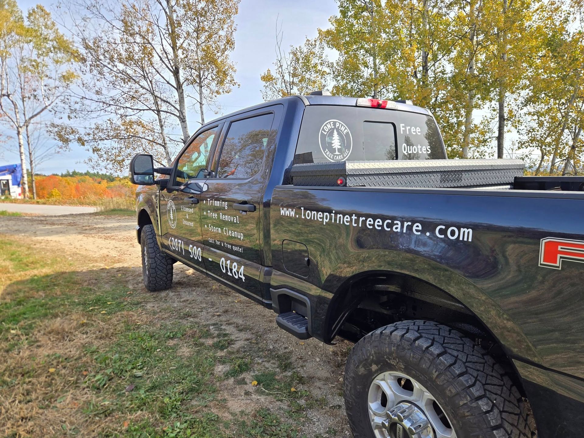 A black pickup truck parked on a grassy patch, displaying tree care service branding and a website URL on its side.