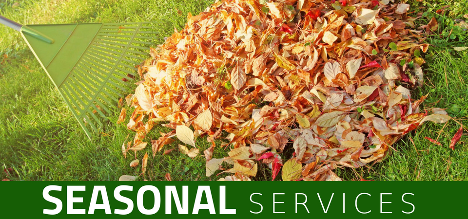 A green rake sits next to a large pile of fallen autumn leaves on grass with a banner labeled 