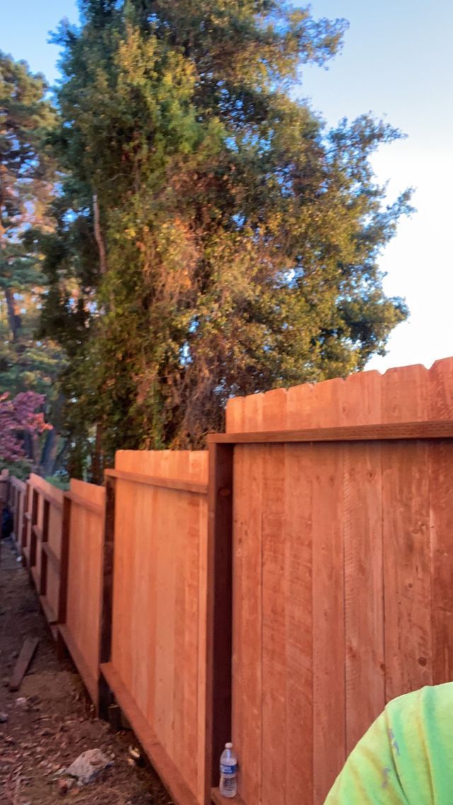 Wooden fence along a dirt path with tall trees and a blue sky in the background