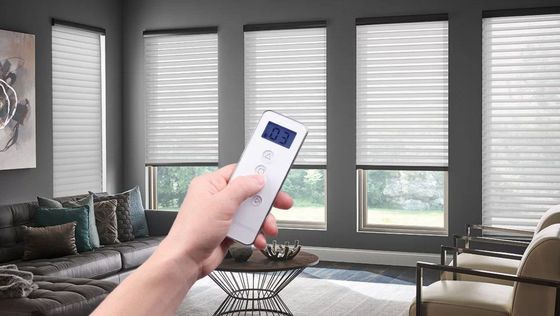 Hand holding a white remote pointed at window blinds in a bright living room