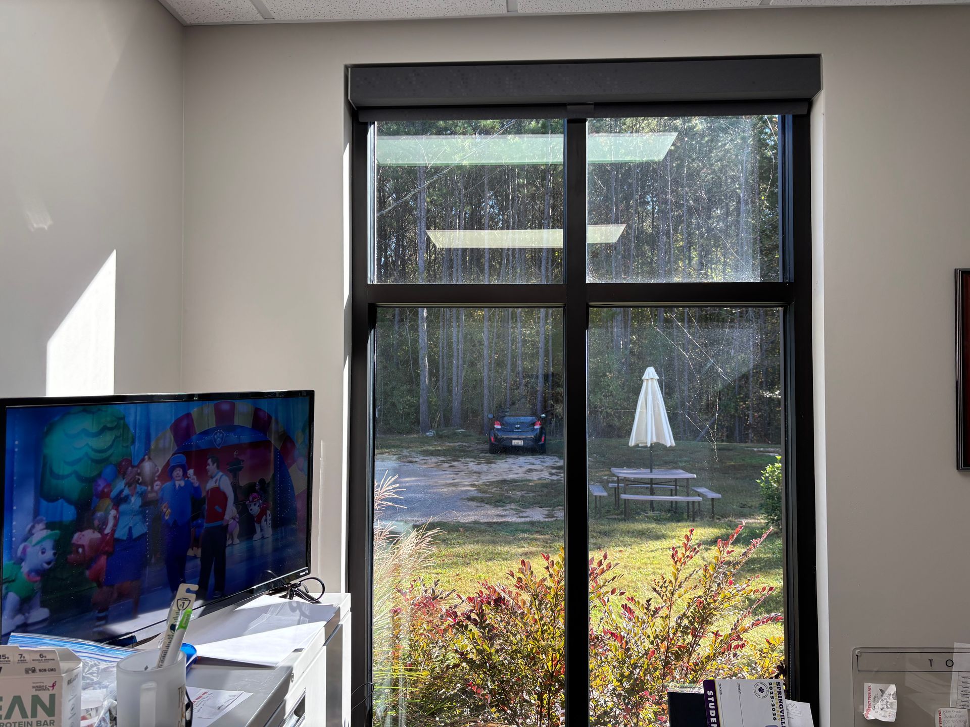 Sunlit room with a large window overlooking a garden and patio; TV and shelf in the foreground.