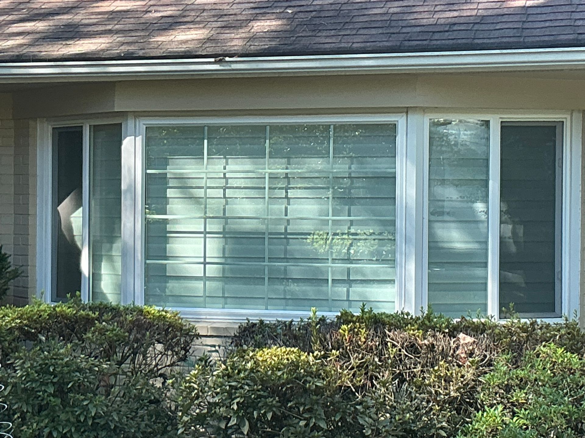 House front with large white-framed window and trimmed hedges in front