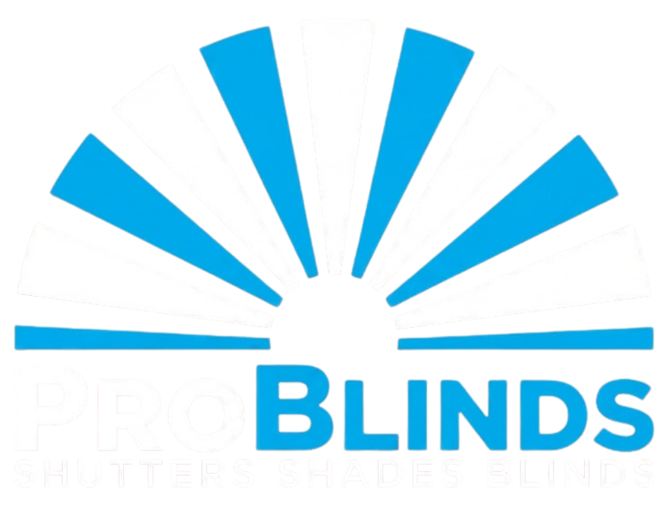 Blue sunburst logo above the word “BLINDS” in blue text