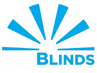 Blue sunburst logo above the word &ldquo;BLINDS&rdquo; in blue text