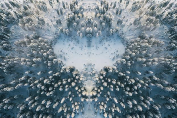 An aerial view of a snowy forest with a heart shaped hole in the middle.