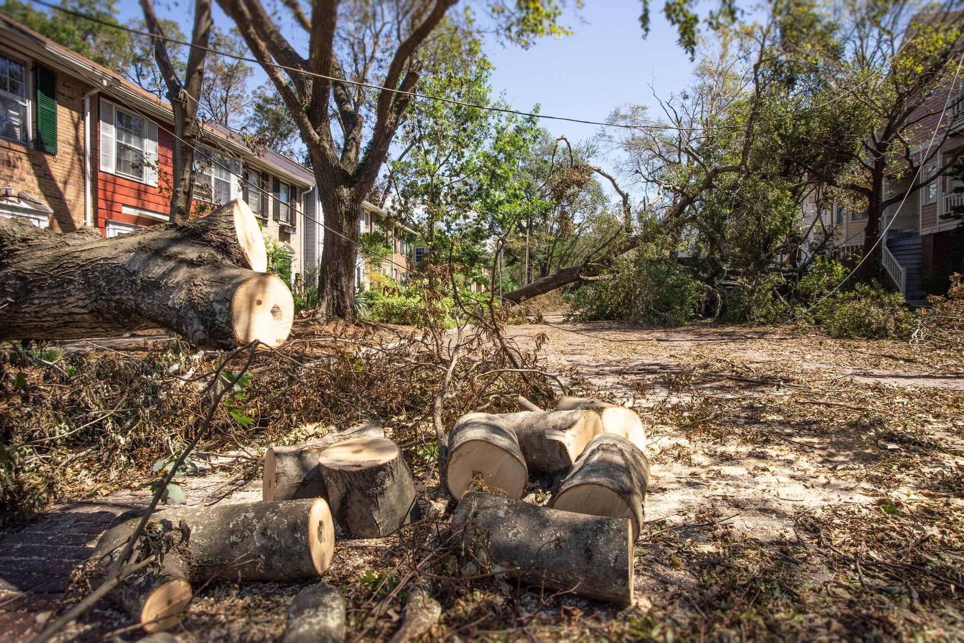 Cut logs and debris litter a yard near apartment buildings after a storm.