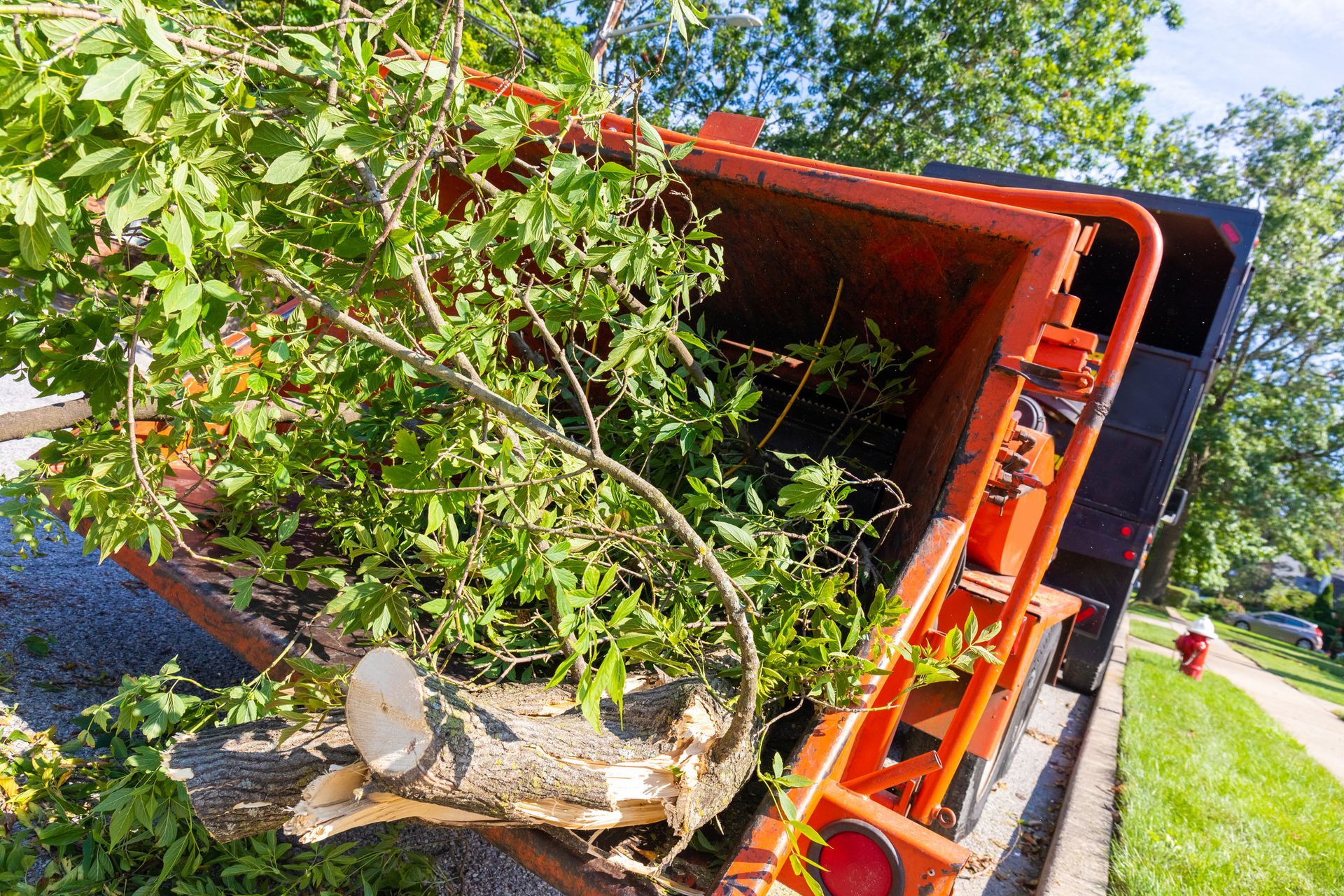 Green tree branches and a log fill an open, orange dump truck bed parked on a residential street.