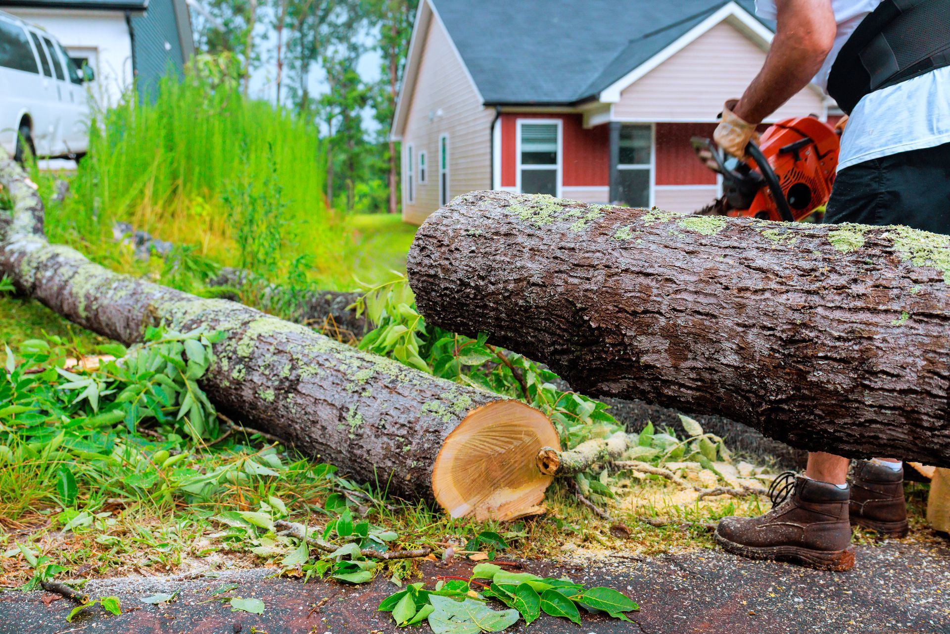 Person using chainsaw to cut a fallen tree on a residential street.