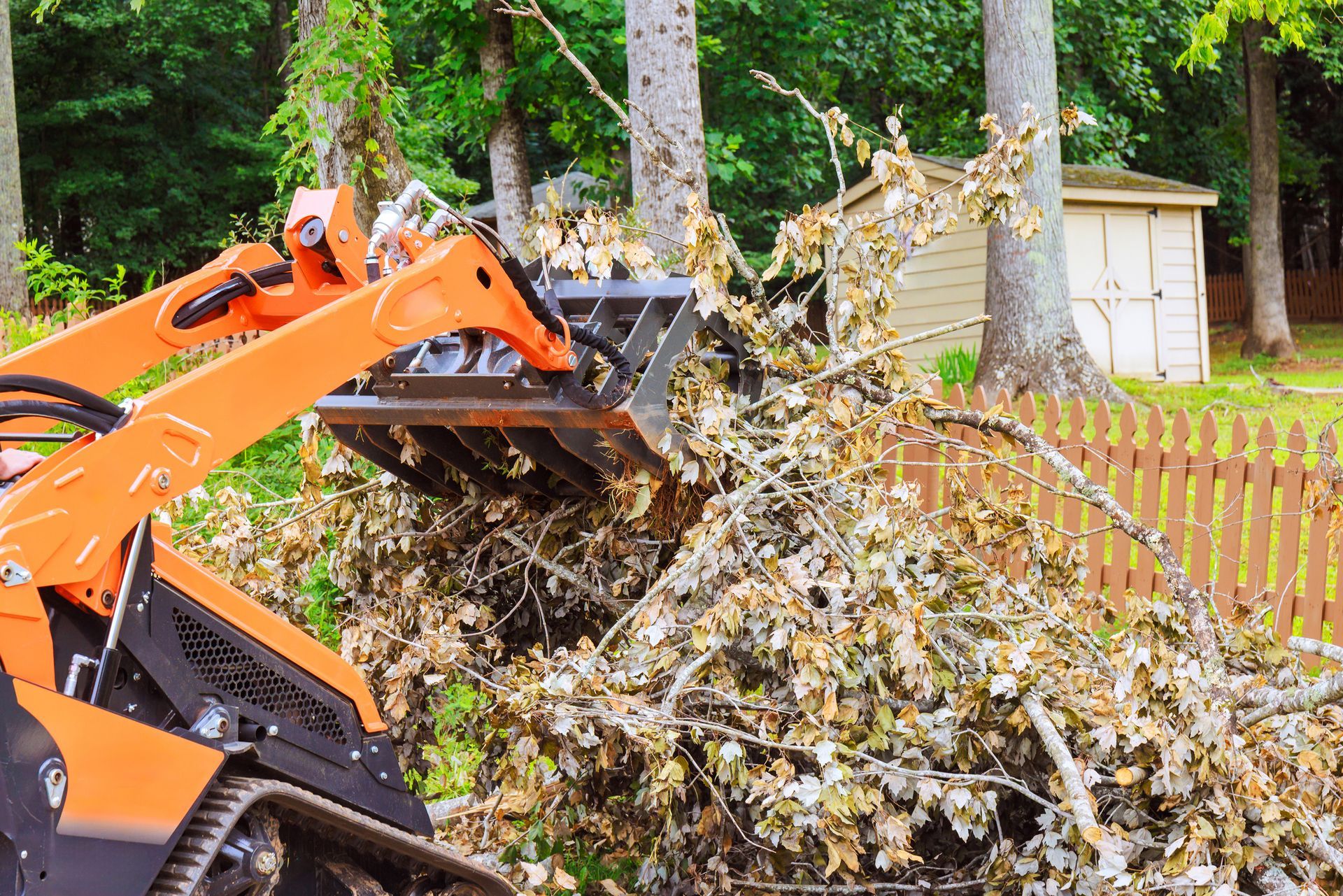 Orange skid steer removing brush near a wooden fence and shed.