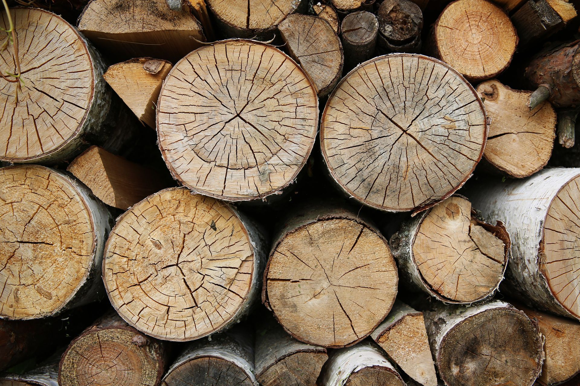 Pile of stacked firewood logs, showing circular end grains with visible cracks and varying colors.
