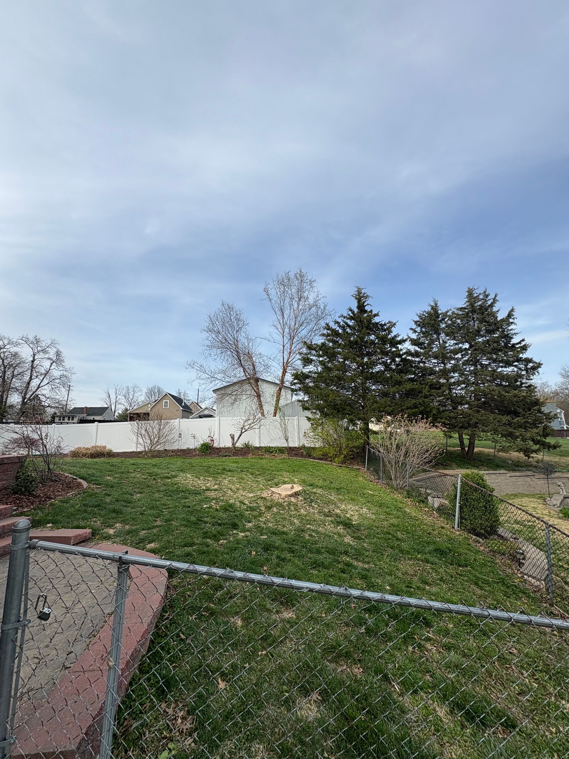 Backyard with green grass, white fence, trees, and cloudy sky.