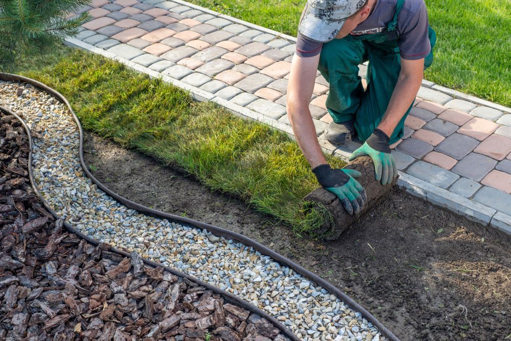 Un homme roule un rouleau d’herbe dans un jardin.
