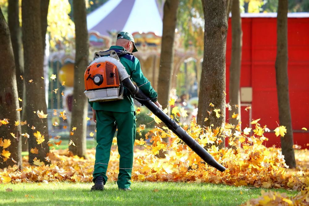Un homme souffle des feuilles dans un parc avec un souffleur à dos.
