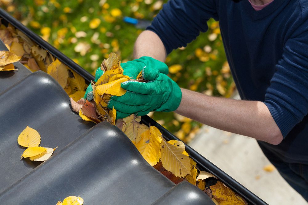A Man Wearing Green Gloves is Cleaning a Gutter of Leaves — Cleaning for Good in Palm Beach, QLD