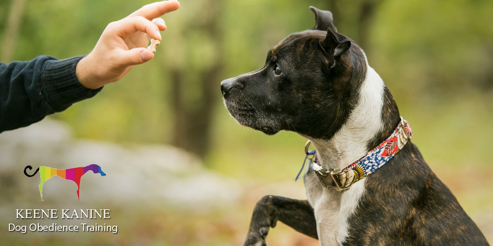 Dog Obedience Training by Maureen Keene of Keene Kanine