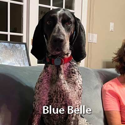 A dog is sitting on a couch next to a woman.