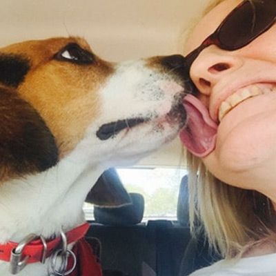 Contact Maureen for a Free Dog Training Consultation!
