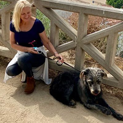 Contact Maureen for a Free Dog Boot Camp Training Consultation!
