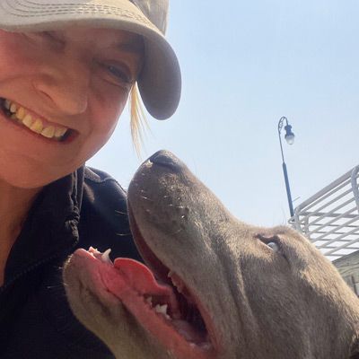 Contact Maureen for a Free Dog Training Consultation!