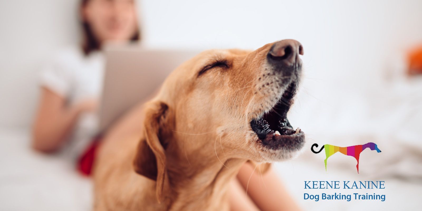Dog Barking Training by Maureen Keene of Keene Kanine Excessive Barking Dog Trainer Long Beach and Serving Nassau County NY
