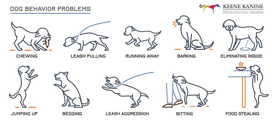A line drawing of a dog 's behavior problems
