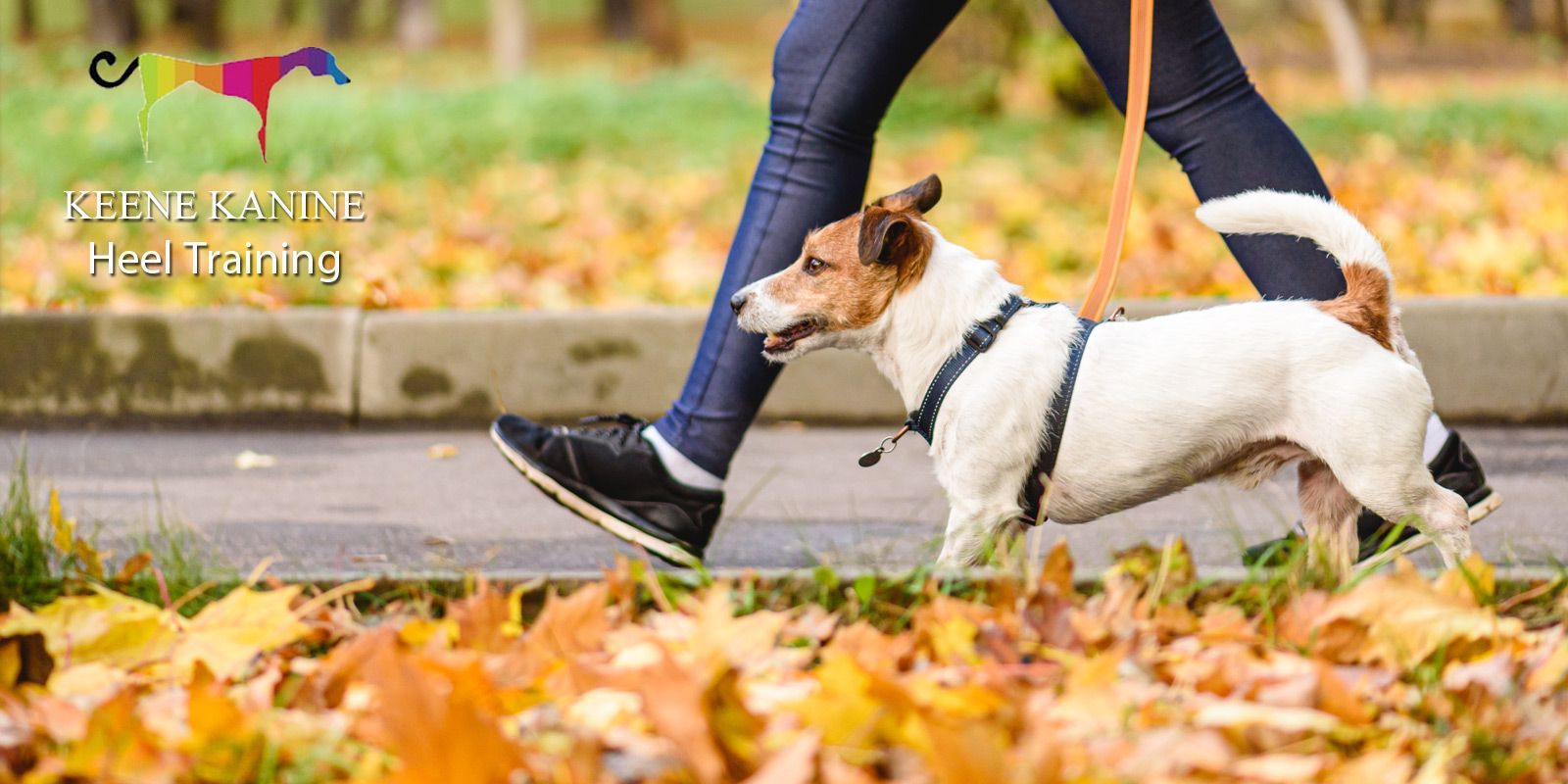 Dog Heel Training by Maureen Keene of Keene Kanine, Heeling Trainer for Dogs in Long Beach and Serving all of Nassau County NY