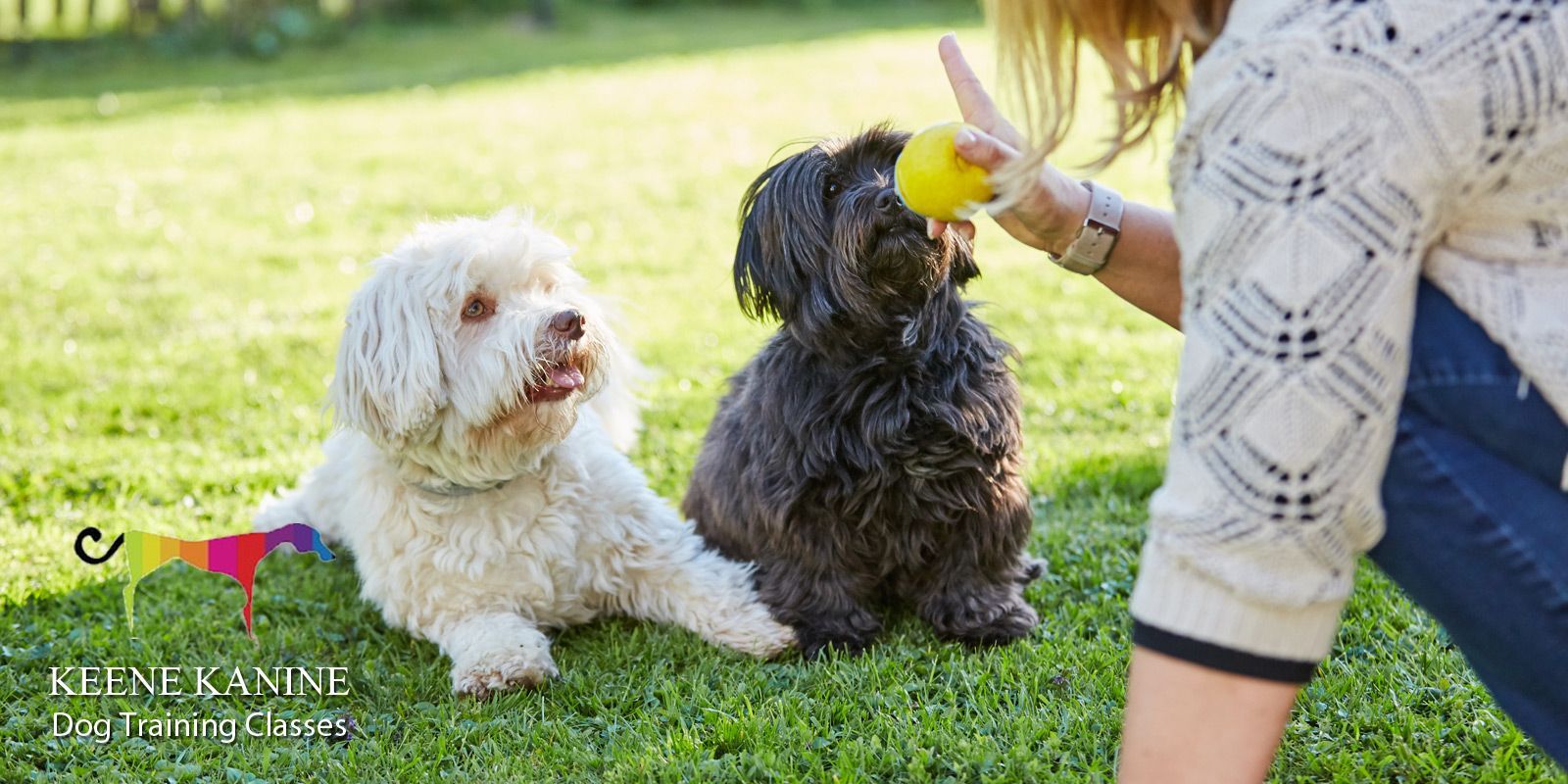 Dog Training Classes by Maureen Keene of Keene Kanine, Classes for Dog Training in Long Beach and Serving all of Nassau County NY