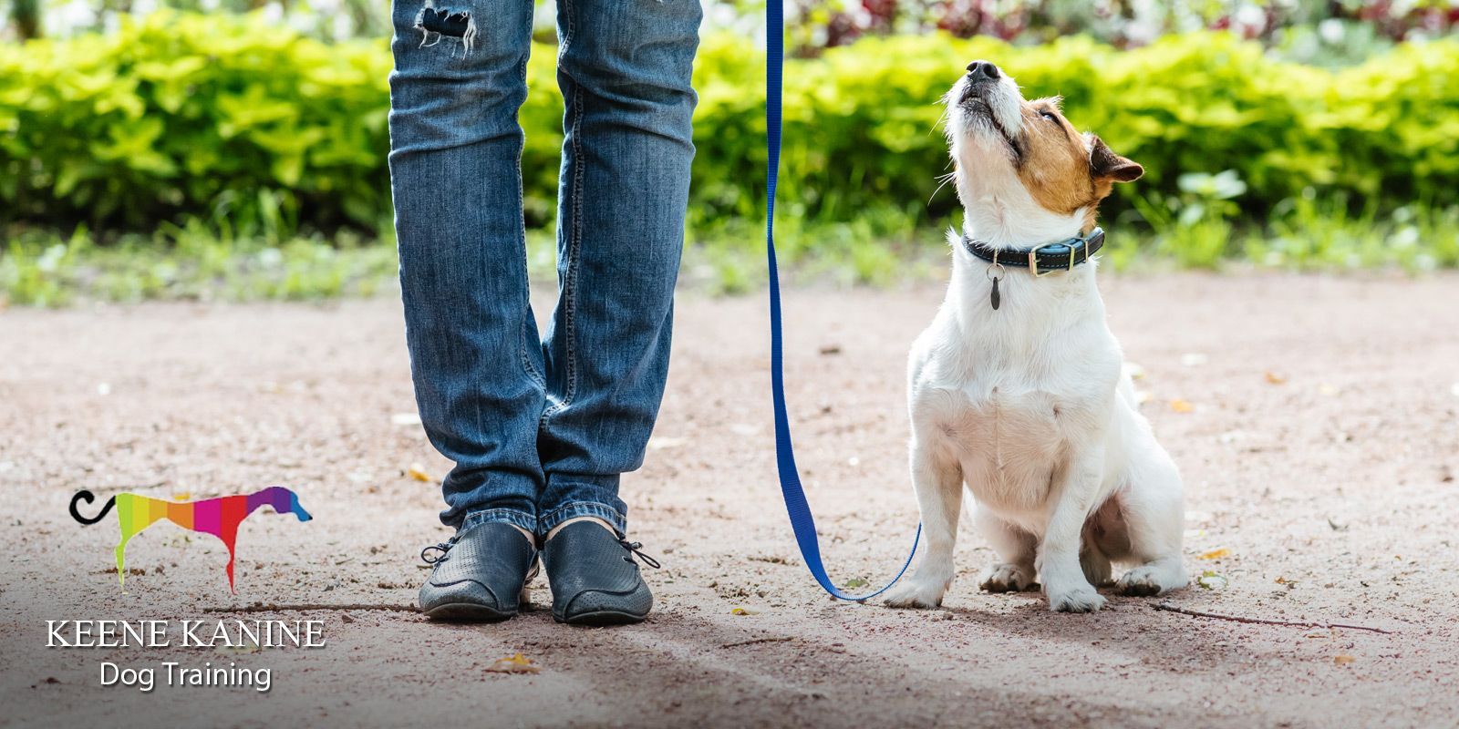 Professional Dog Training by Maureen Keene of Keene Kanine Expert Dog Trainer in Long Beach and Serving all of Nassau County NY