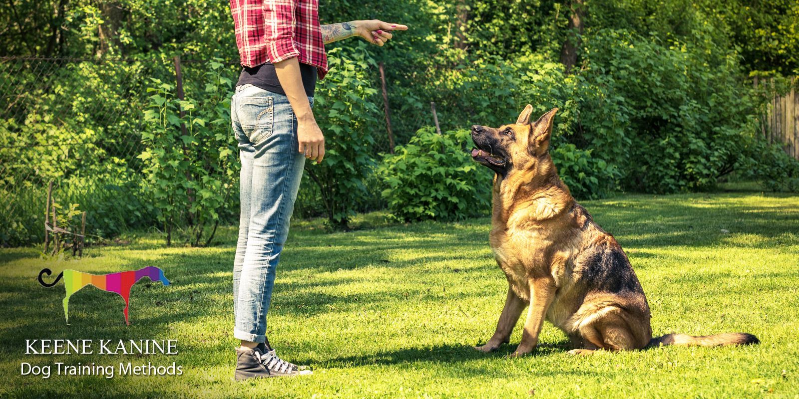 Dog Training Methods Maureen Keene of Keene Kanine, Specialized Dog Trainer in Long Beach and Serving all of Nassau County NY