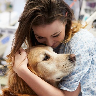 Therapy Dog Training