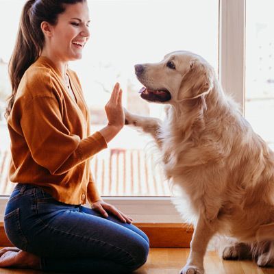 A woman is kneeling down next to a dog and giving it a high five.