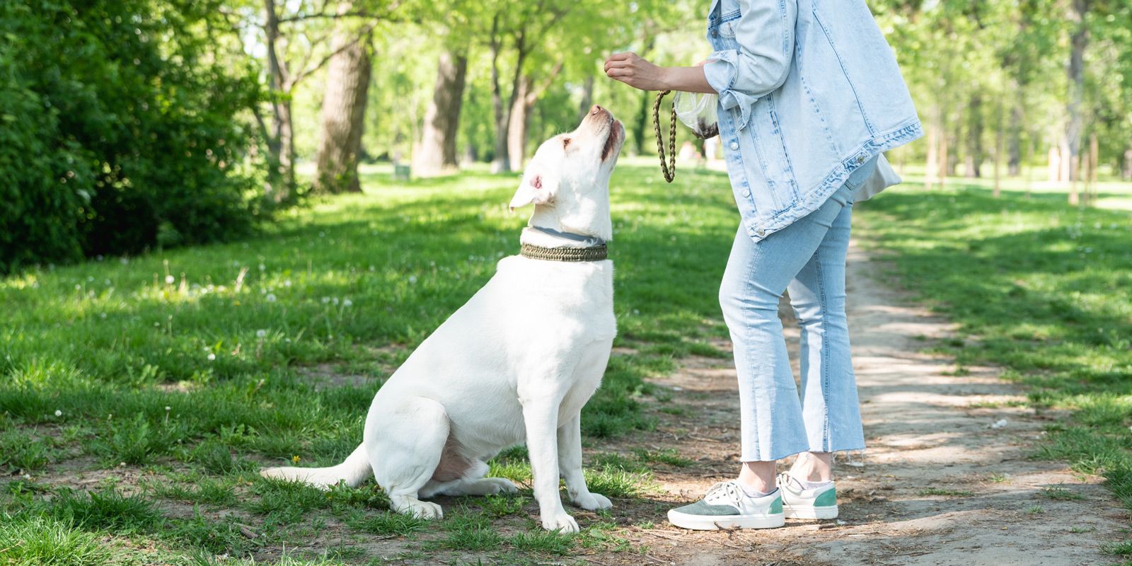 Oceanside Dog Trainer - Maureen Keene of Keene Kanine