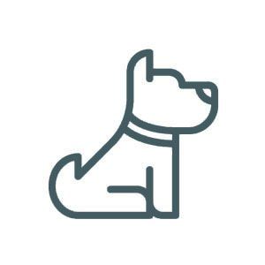 Animali ammessi