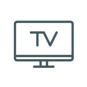 TV in camera