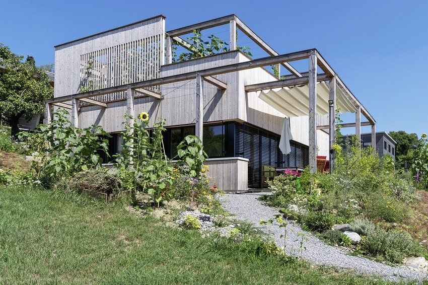 Modernes Holzhaus am Hang mit Pergola, umgeben von Pflanzen und Sonnenblumen.