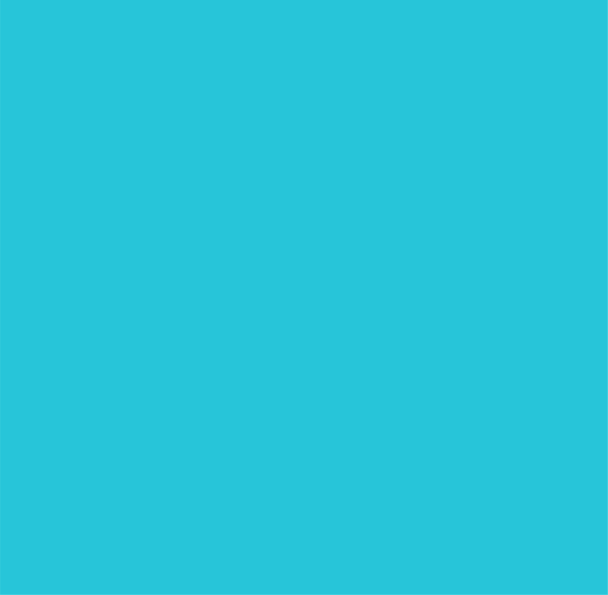 Einfarbig hellblauer Hintergrund.