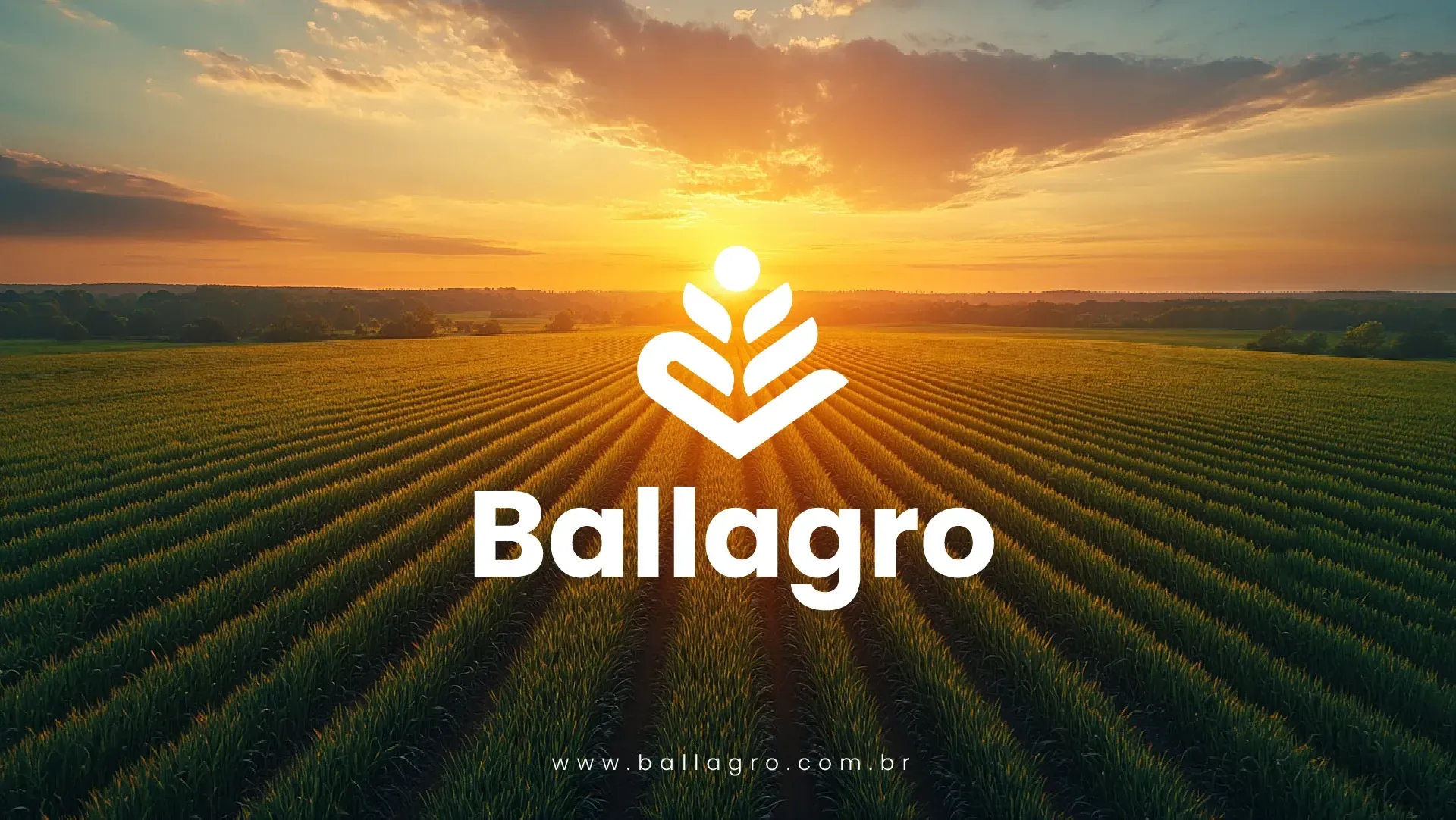 Ballagro logo over a field at sunset; white logo shows a stylized plant.