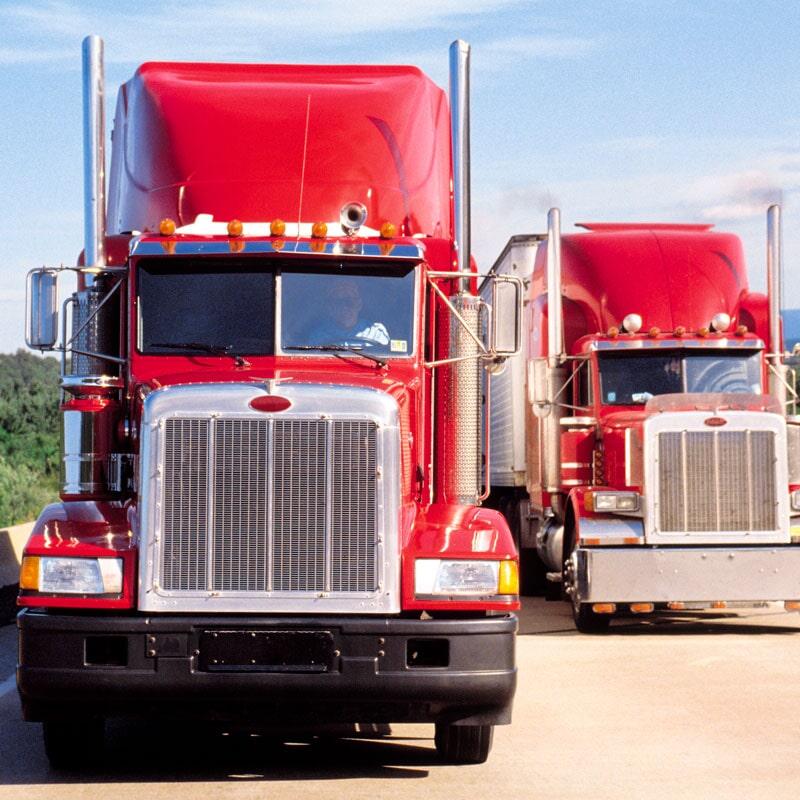 AUTOLÍNEAS VIFE SA DE CV - servicio de transporte