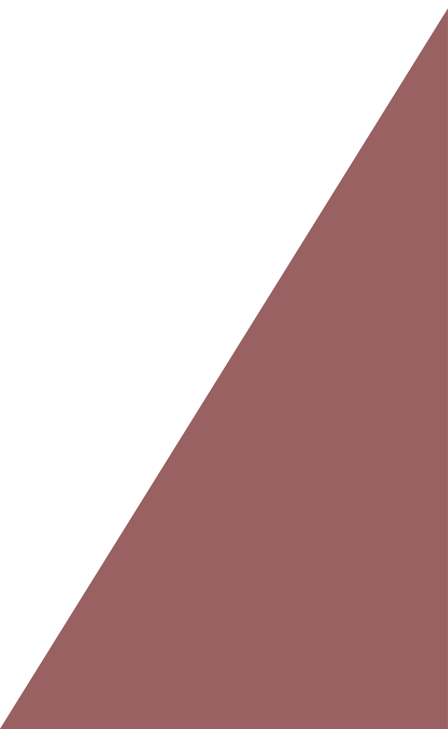 A brown and white triangle on a white background.