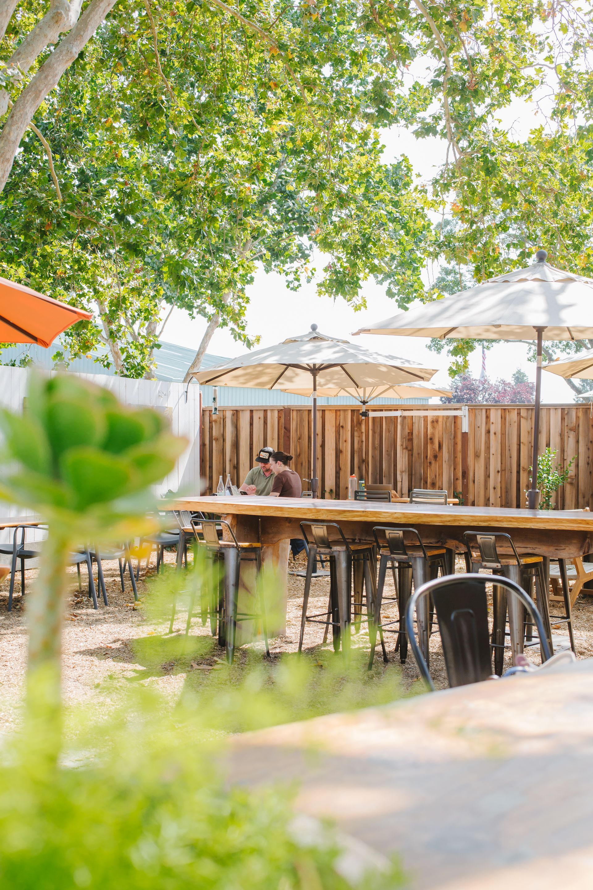 A group of people are sitting at tables outside under umbrellas.