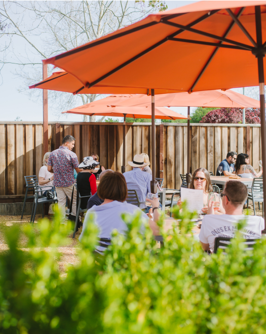A group of people are sitting under orange umbrellas