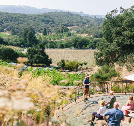 A group of people are standing on a balcony overlooking a vineyard.