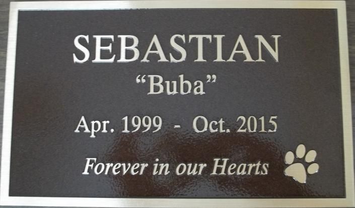 Black memorial plaque reading “Sebastian ‘Buba’,” Apr. 1999 - Oct. 2015, “Forever in our Hearts” with paw print.