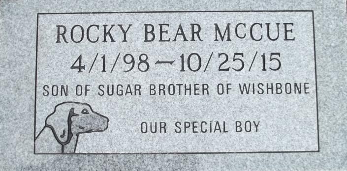 Gray memorial plaque for Rocky Bear McCue with dates 4/1/98–10/25/15 and a dog illustration