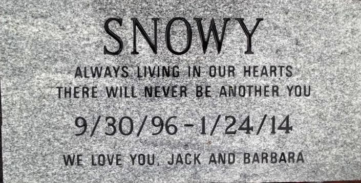 Gravestone for SNOWY with the inscription “Always living in our hearts,” dates 9/30/96–1/24/14.