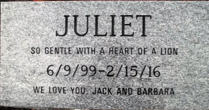 Gray granite pet grave marker reading “JULIET” with “So gentle with a heart of a lion” and dates 6/9/99–2/15/16.