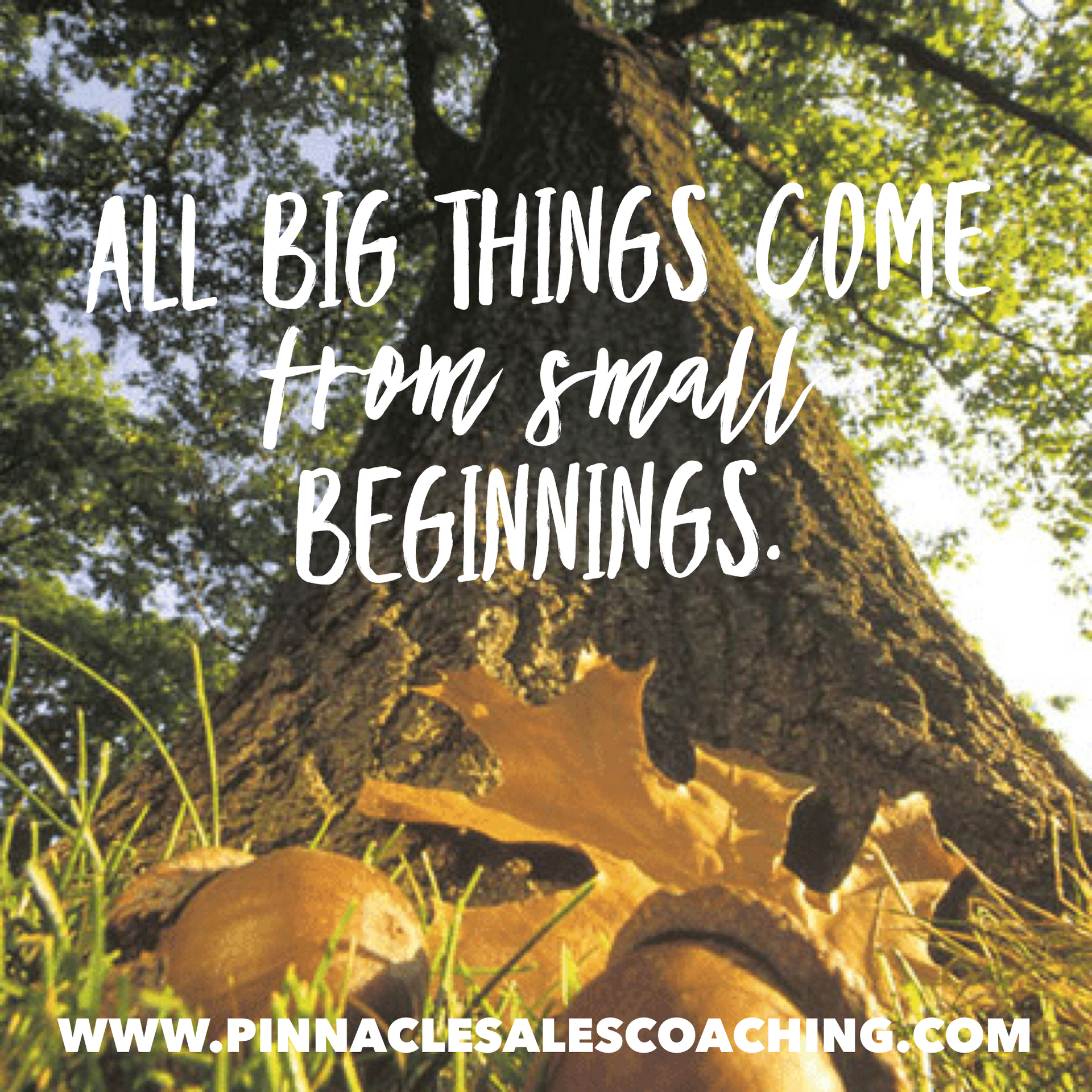 ALL BIG THINGS COME FROM small BEGINNINGS.