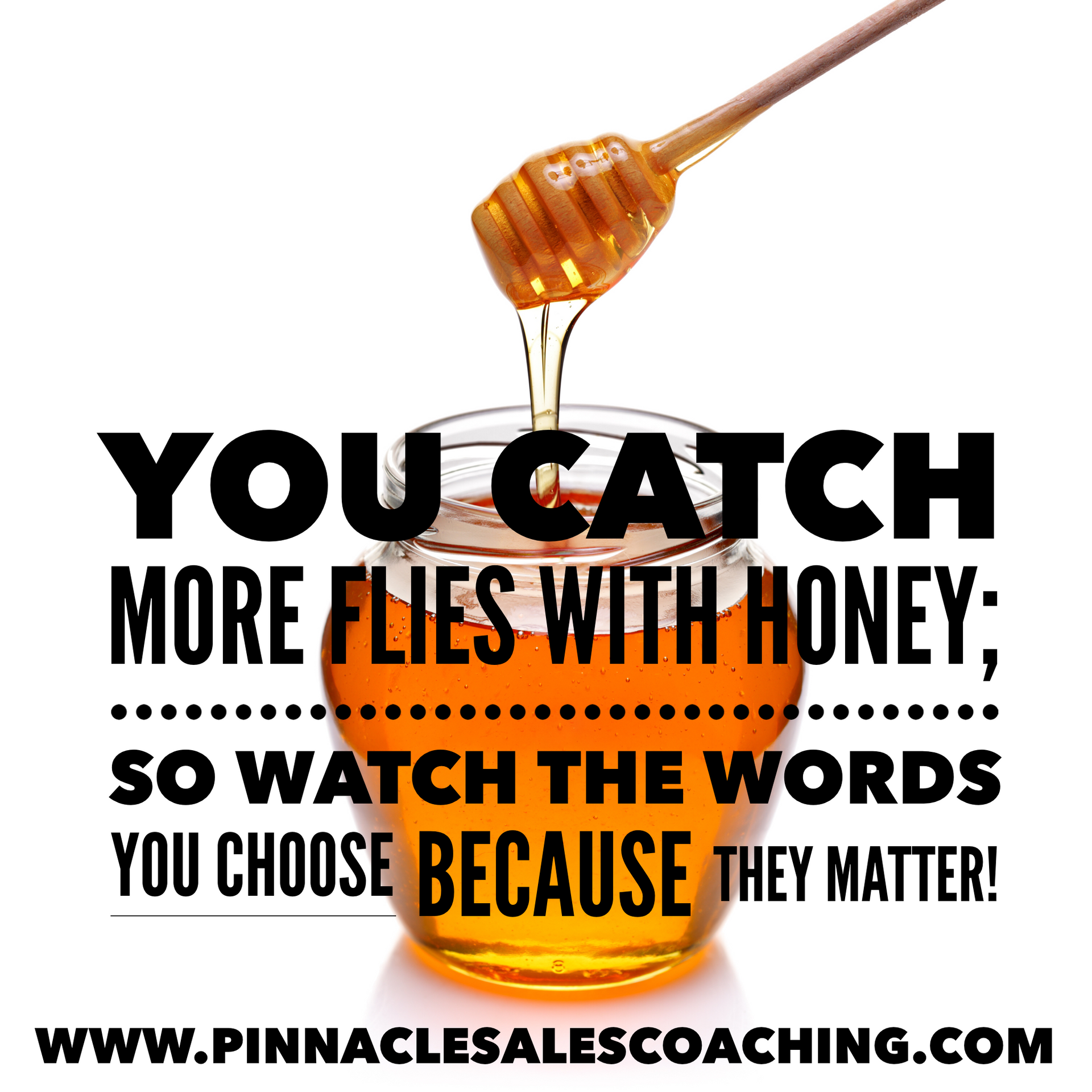 YOU CATCH MORE FLIES WITH HONEY; SO WATCH THE WORDS YOU CHOOSE BECAUSE THEY MATTER!